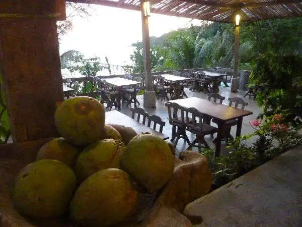 fresh coconuts in our restaurant on koh kood
