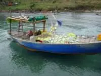 Fish drying on the deck of a fishing boat