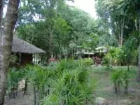 Always planting new types of flora