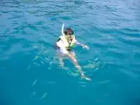 Feeding the fish on a snorkeling trip