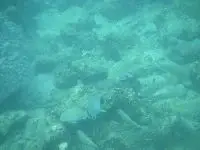 Further into the sea