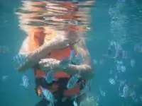 Because the fish aren't either