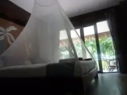 Well protected under the mosquito nets