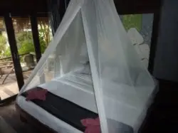 Very romantic scenery